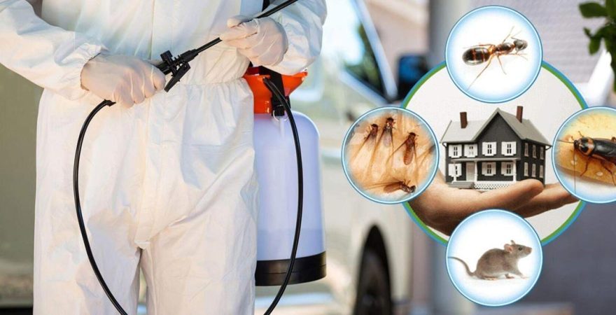 Ev ve İş Yerlerinde İlaçlama Nasıl Yapılır? En Etkili Yöntemler ve Püf Noktaları