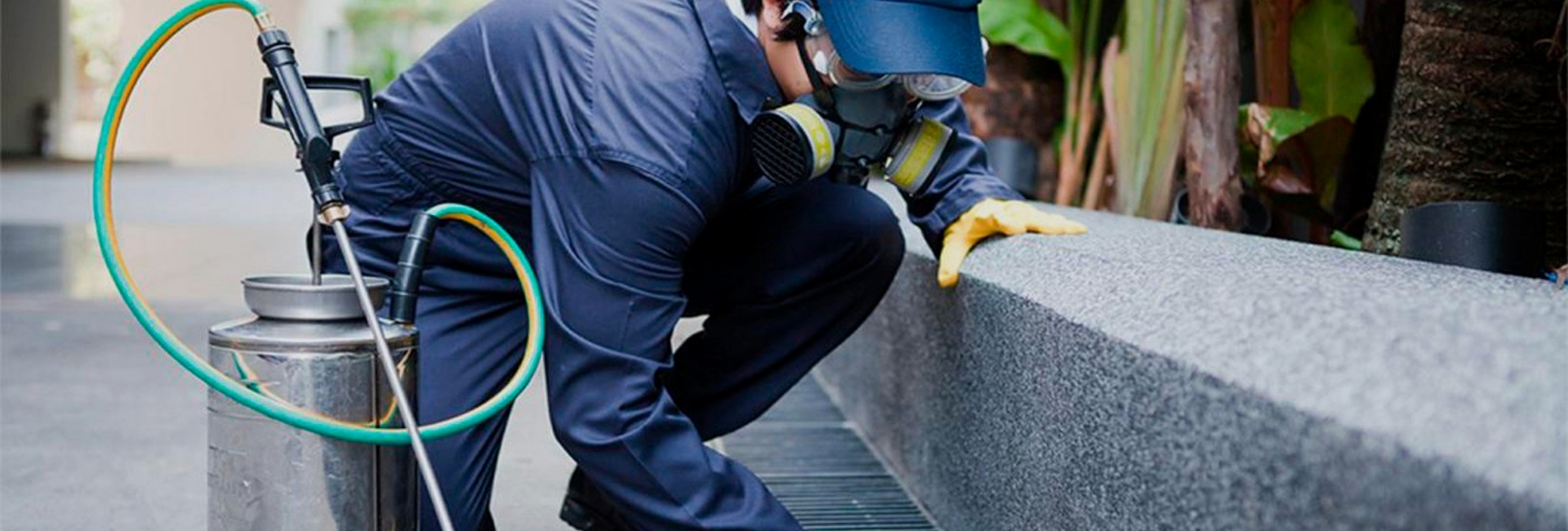 İstanbul İlaçlama